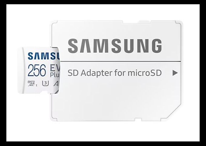 Samsung Evo Plus micro SD 256GB