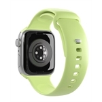 Puro Apple Watch Silicone Band