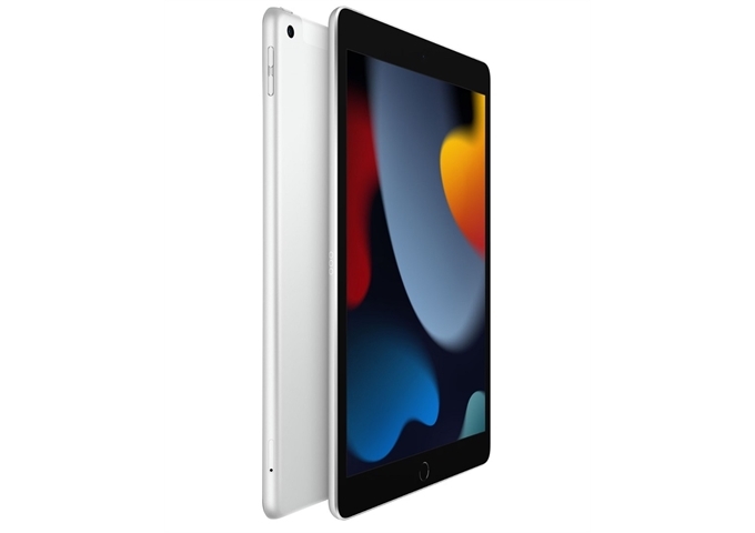 Reenova Apple iPad 9.Gen 64GB Cellular inkl. Zubehör