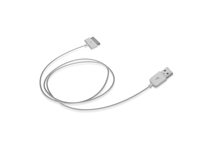 SBS Datenkabel Dock für iPhone, iPad und iPod