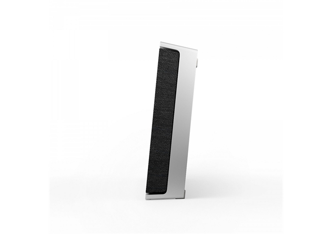 Bang & Olufsen Wireless Lautsprecher LEVEL anthrazit