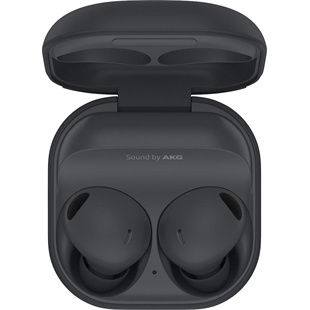 Samsung Galaxy Buds 2 Pro graphite