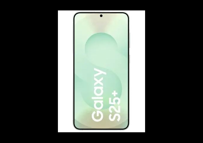 Samsung Galaxy S25+ 5G 512 GB Mint